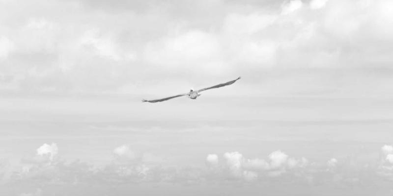 3D打印技术如何重塑标识行业？达卡标识解析复杂造型与快速原型的实现路径