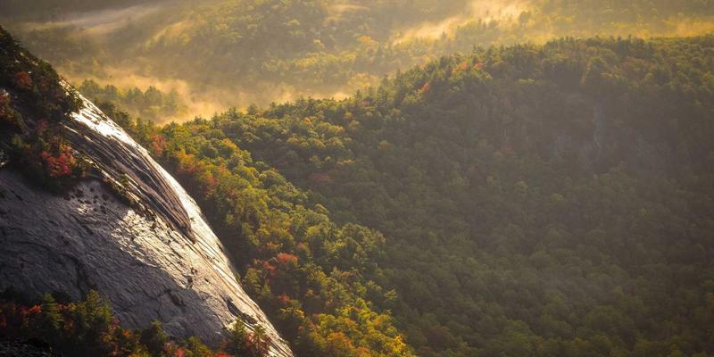 光影艺术在标识设计中的应用：如何利用照明创造夜间品牌视觉焦点 | 达卡标识
