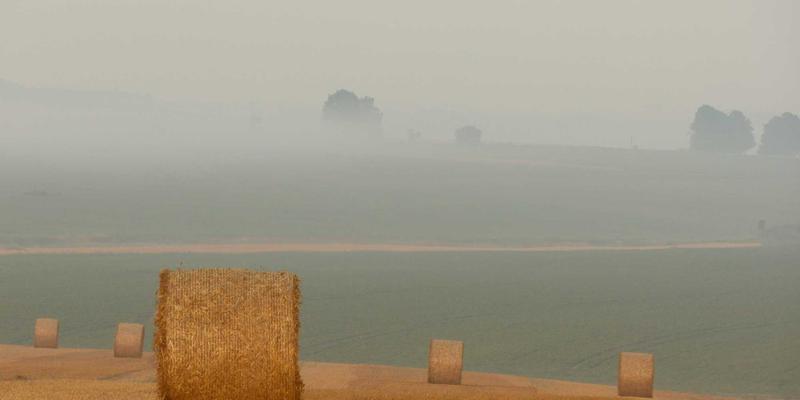 动态数字标牌内容策略:5大创意法则,有效提升顾客参与度 | 达卡标识