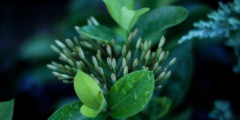 商业街区标识系统规划：如何通过统一性与多样性平衡提升区域品牌形象 | 达卡标识