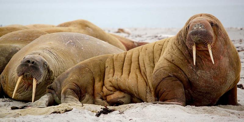 城市公共空间导向系统设计：如何平衡城市美学、功能性与文化表达