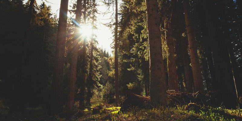 导向标识系统的无障碍设计：遵循国际标准，为视障、听障及行动不便人群创造包容性环境