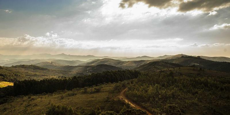 房地产项目标识系统如何提升价值？从售楼处到社区的全周期设计思考 | 达卡标识