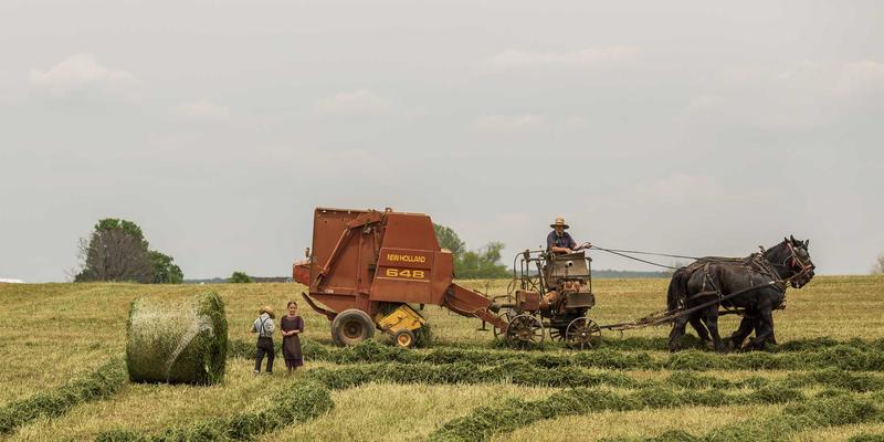 数字化浪潮下，传统标识标牌行业如何破局转型？——达卡标识的升级之路