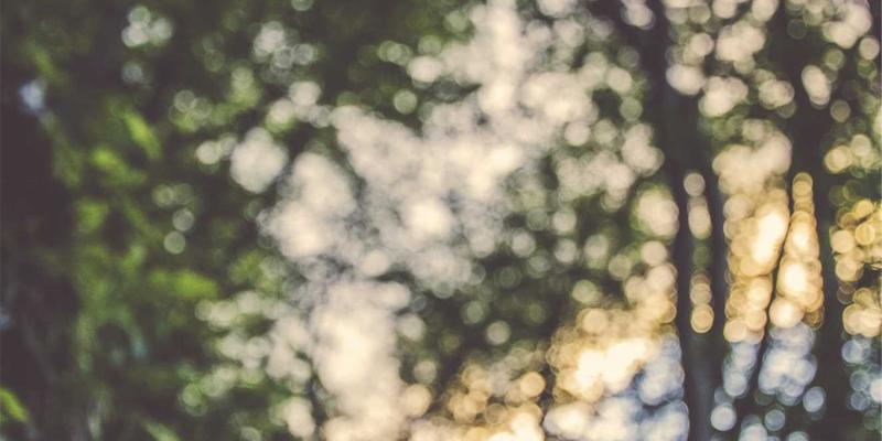 数字标牌内容策略与管理系统：达卡标识解析提升互动体验与广告转化率的关键