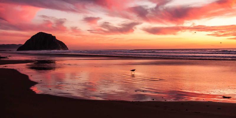 标识标牌的照明设计艺术：LED、霓虹灯与光纤的视觉效果与应用场景深度解析 | 达卡标识